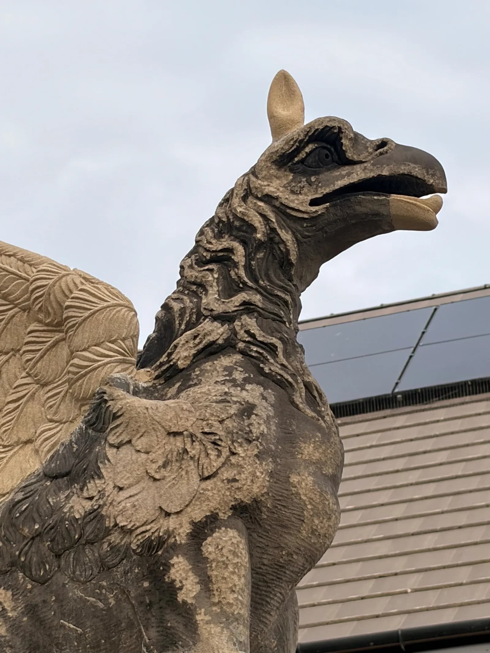 Griffin