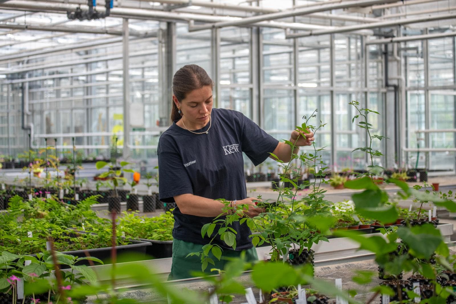 Air-Pot System Fuels Ambitious Biodiversity Project at Denbighshire Nursery