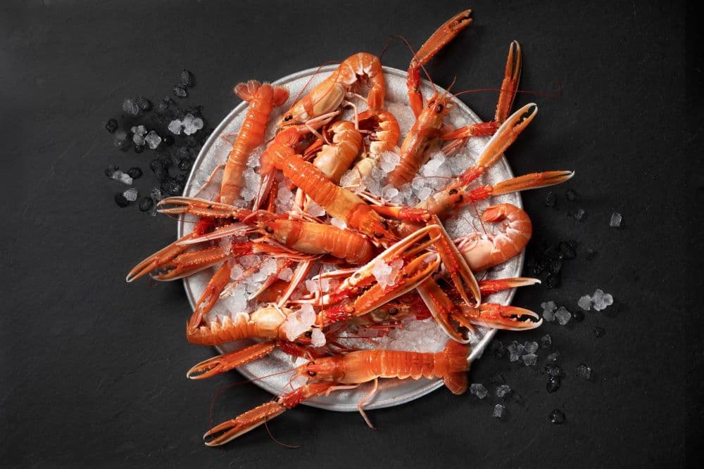Seafood Scotland Goes Global
