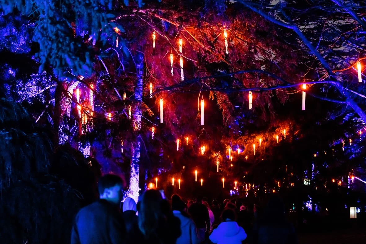 Countdown to Magic: Christmas at the Botanics Returns with Dazzling New Installations