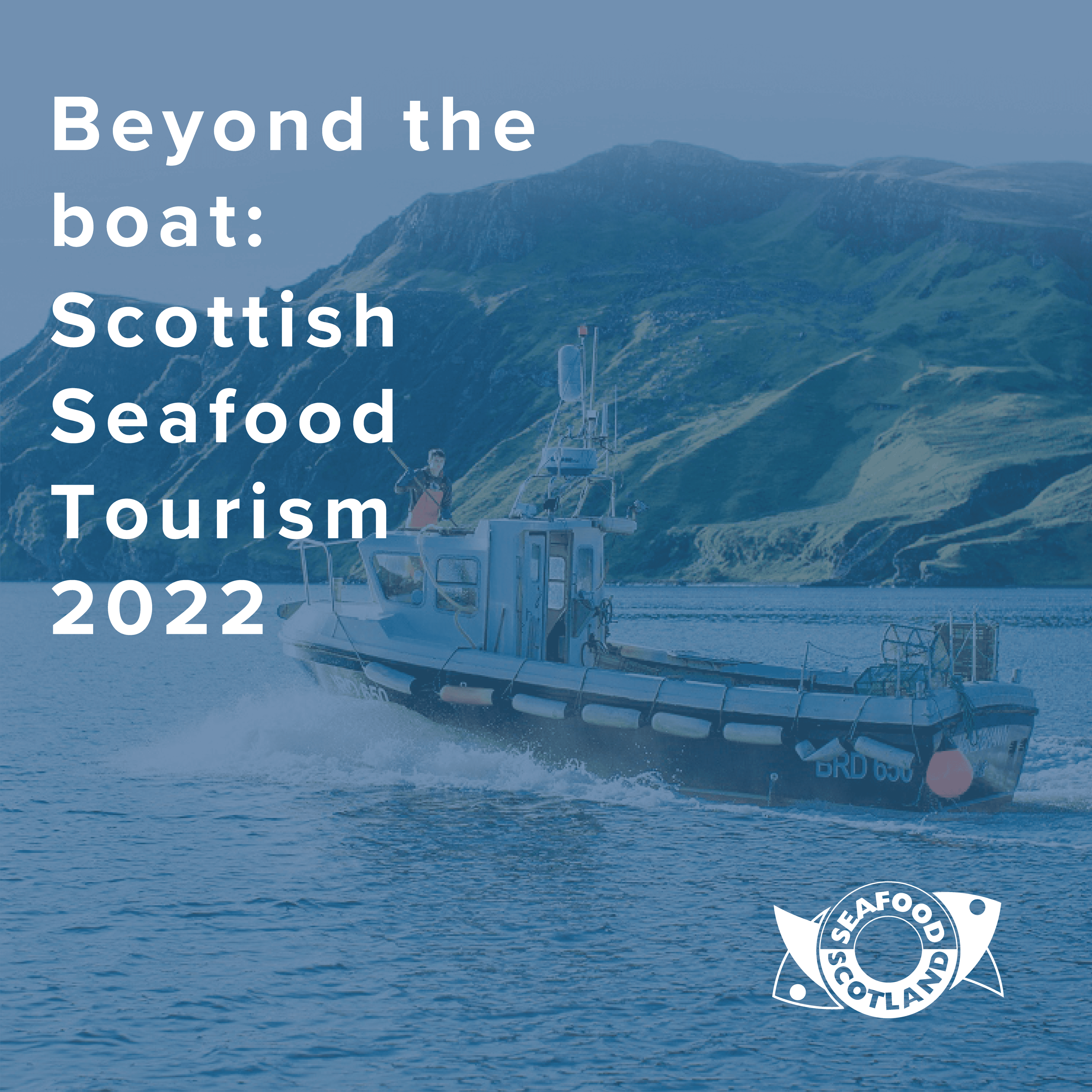 Seafood Scotland Launches an Innovation Programme