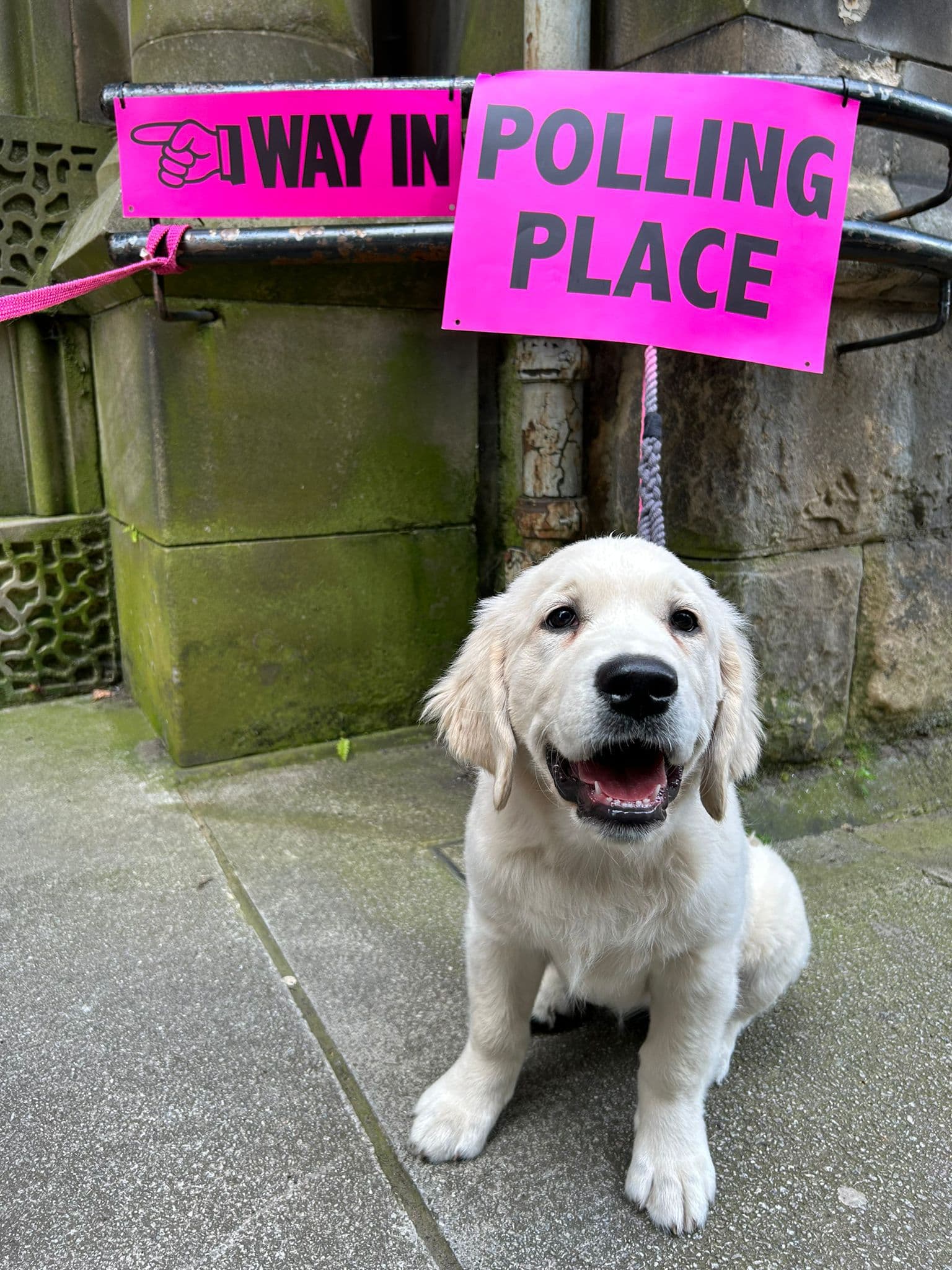 Colinton/Fairmilehead By-Election: Twelve Candidates Stand as Polls Open on Thursday