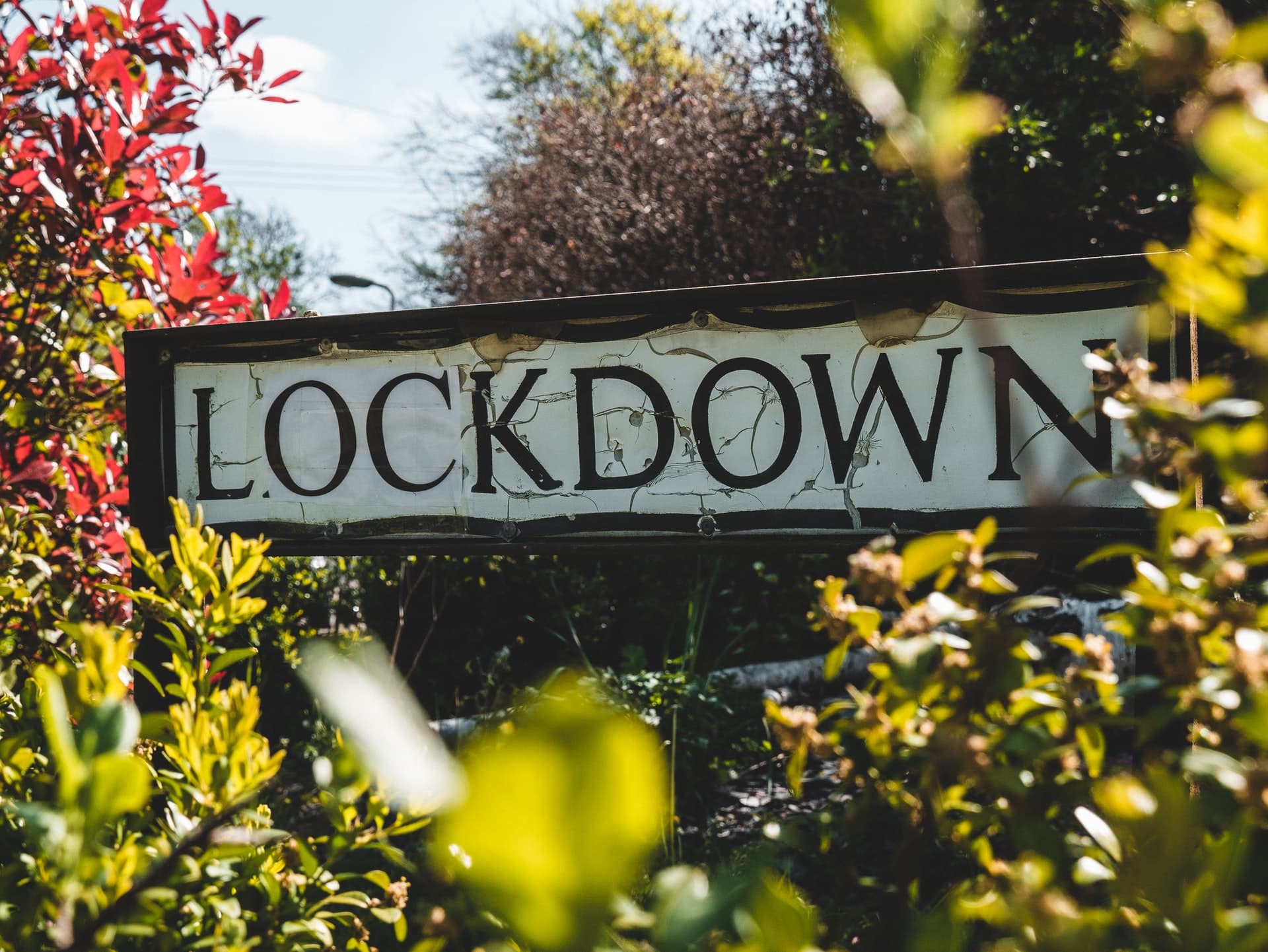 Museums & Galleries in Edinburgh Launch Public Collection Drive to Reflect Life Under Lockdown