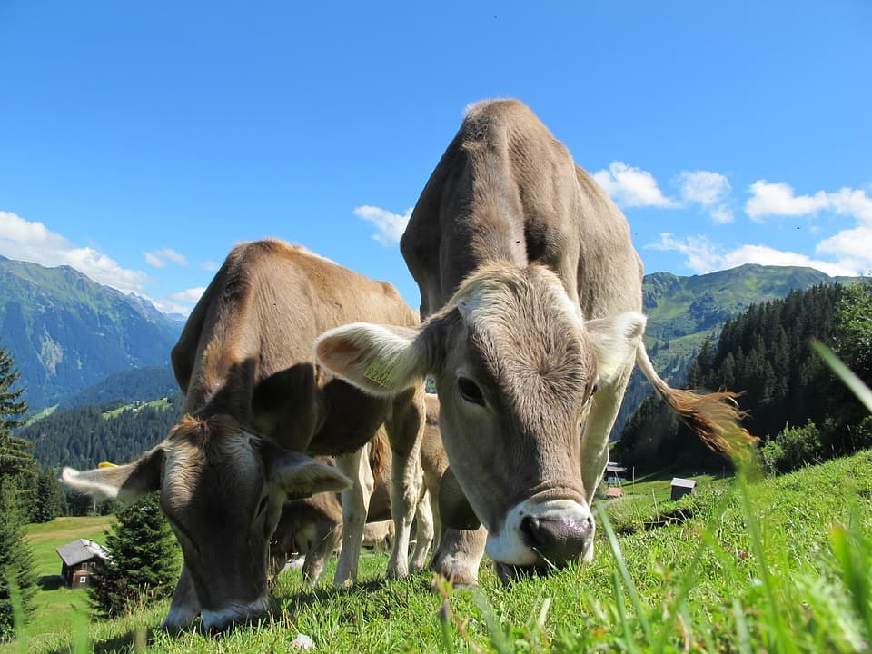 Genetic Contact Tracing Could Help Manage Early Outbreaks Of TB