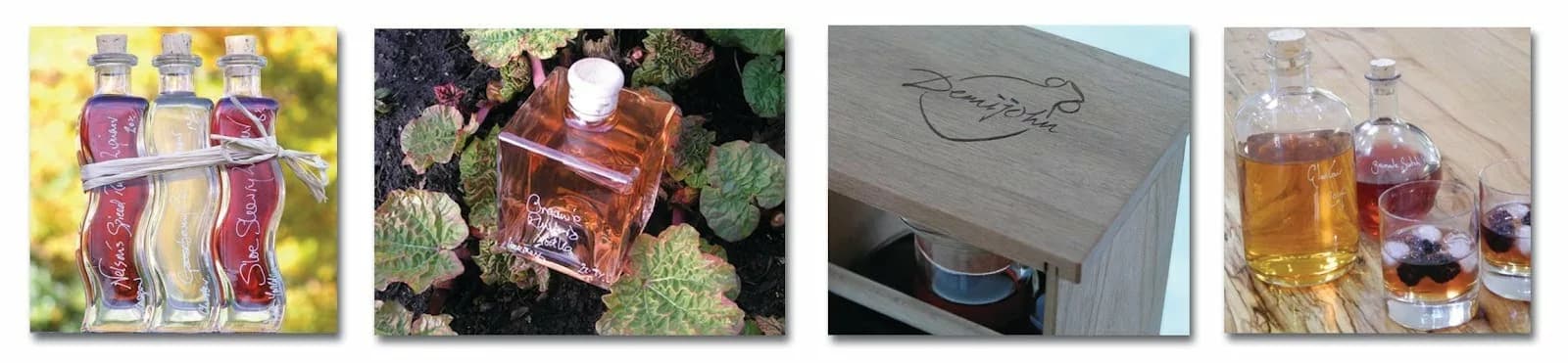 DEMIJOHN: INTO THE FUTURE By Trevor Langley
