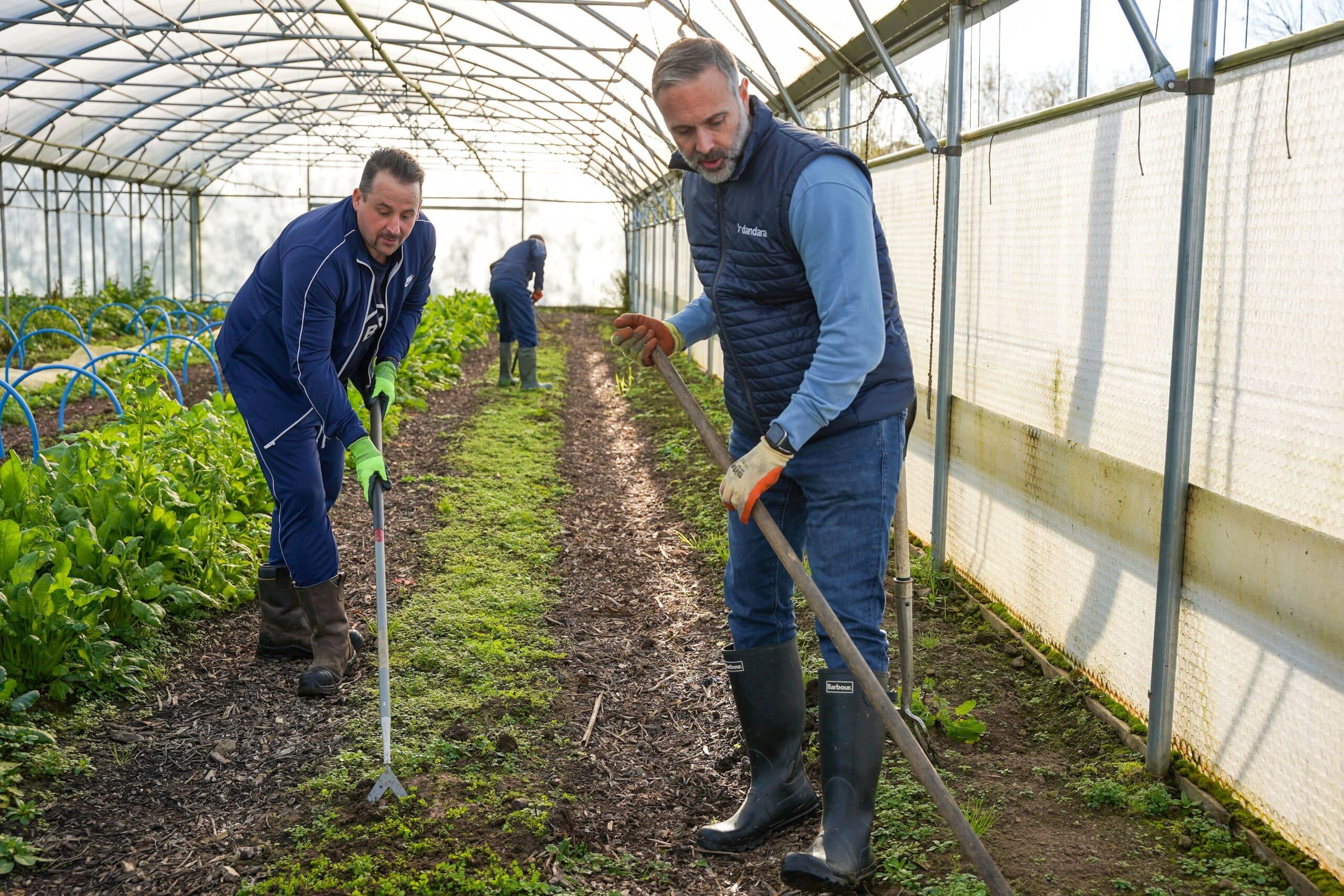 Dandara Team Supports Cyrenians’ Green Skills Centre in Fight Against Homelessness