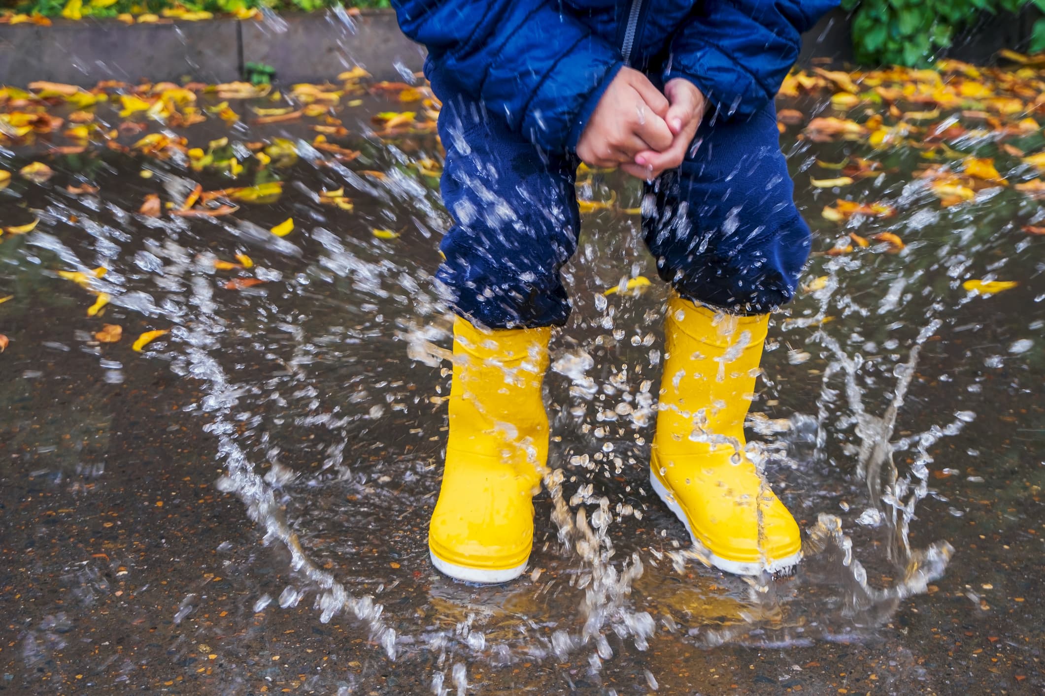 Edinburgh’s Climate Ready Plan Unveiled: 66 Steps to Protect the City’s Future