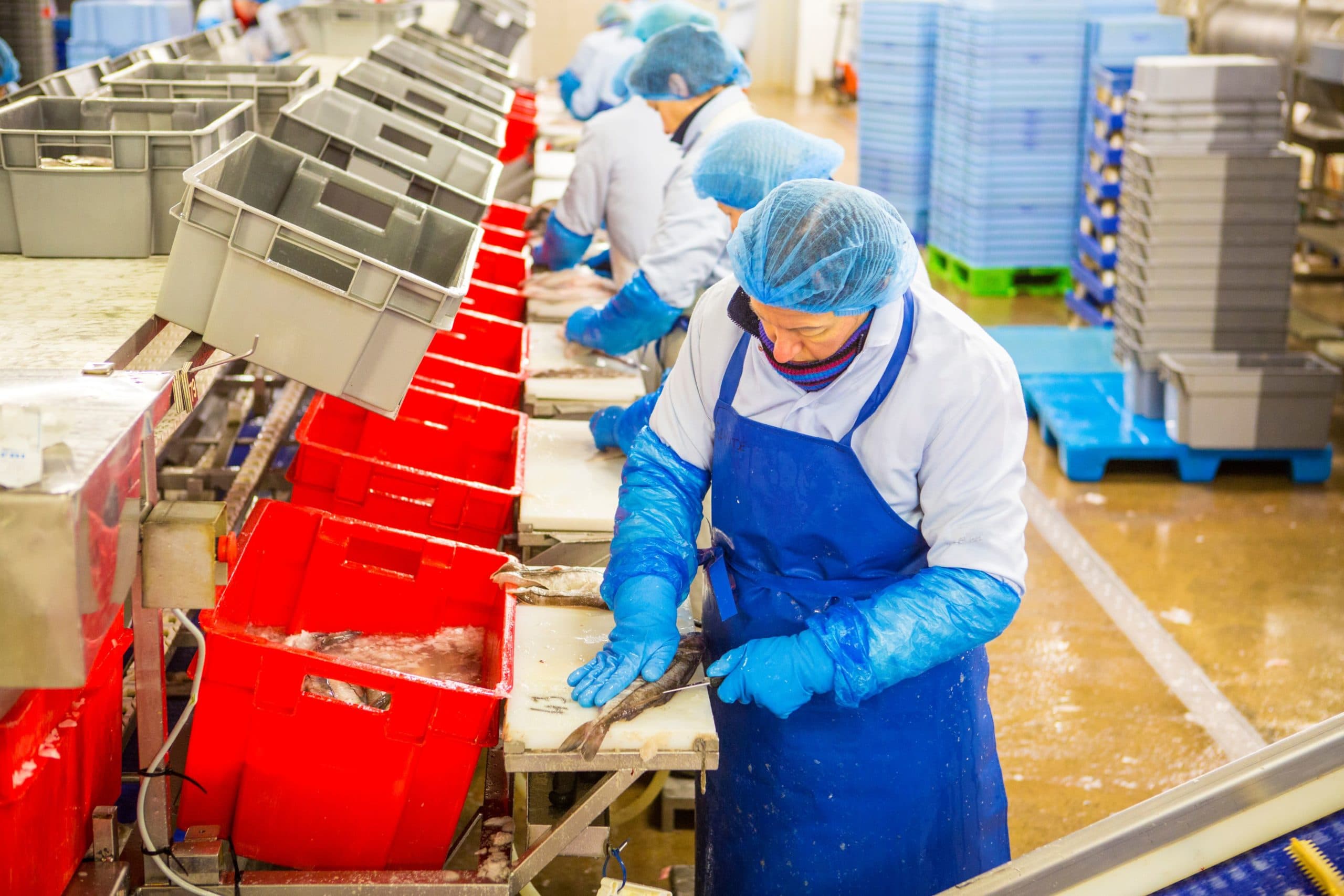Seafood Scotland to Support Seafood Businesses Across the Country