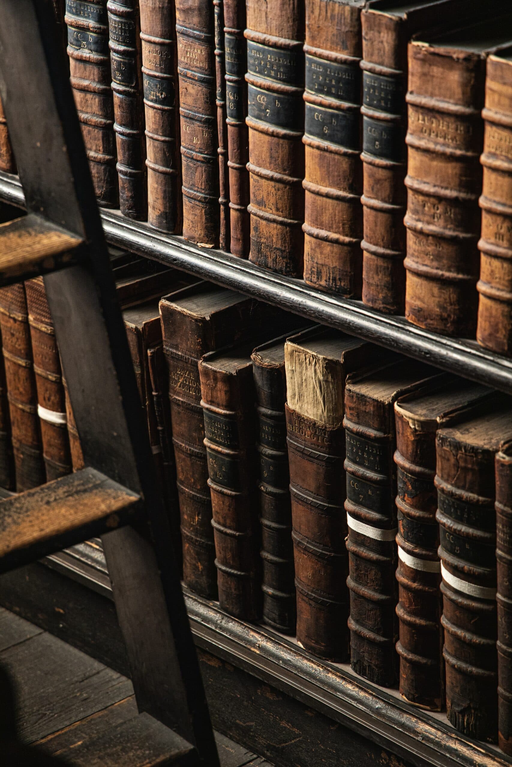 Festival shines a light on the world of books and belief