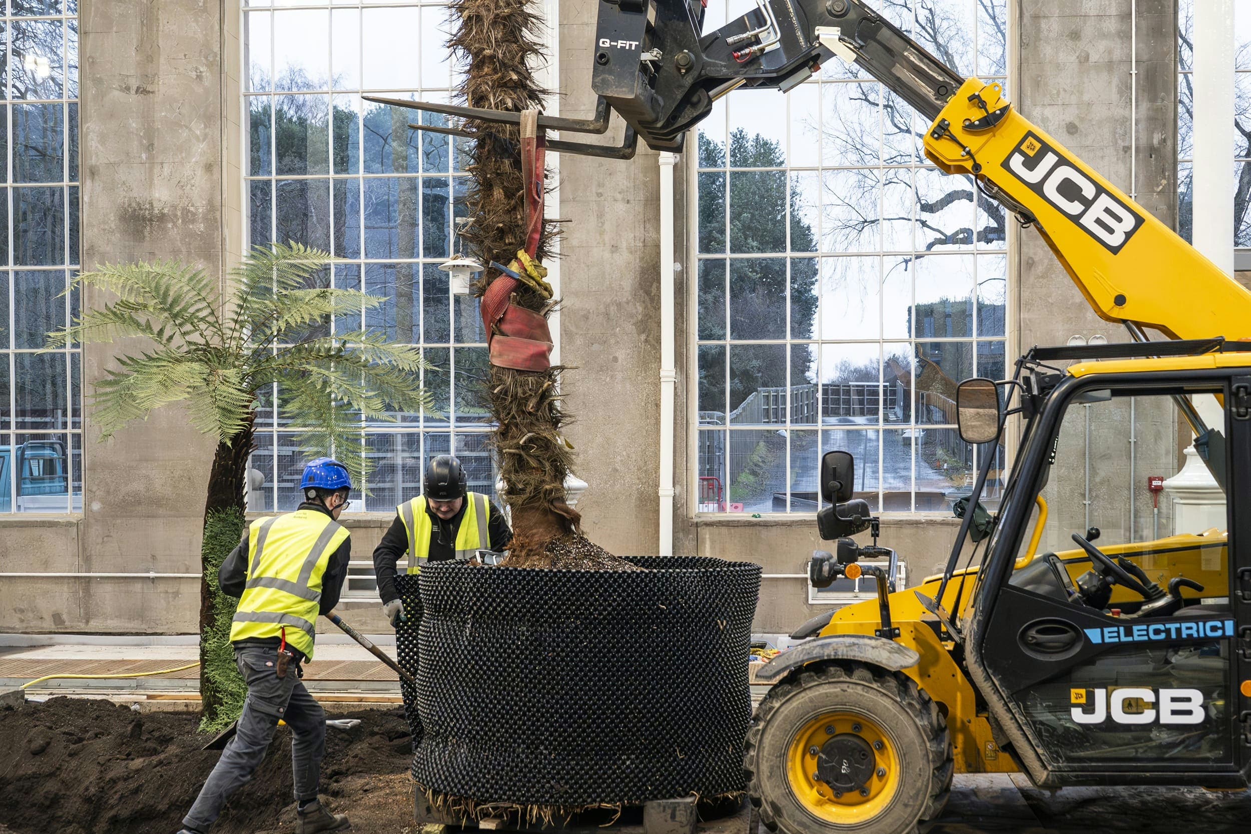 Edinburgh’s Palm Houses Restoration Nears Completion After Major Conservation Effort