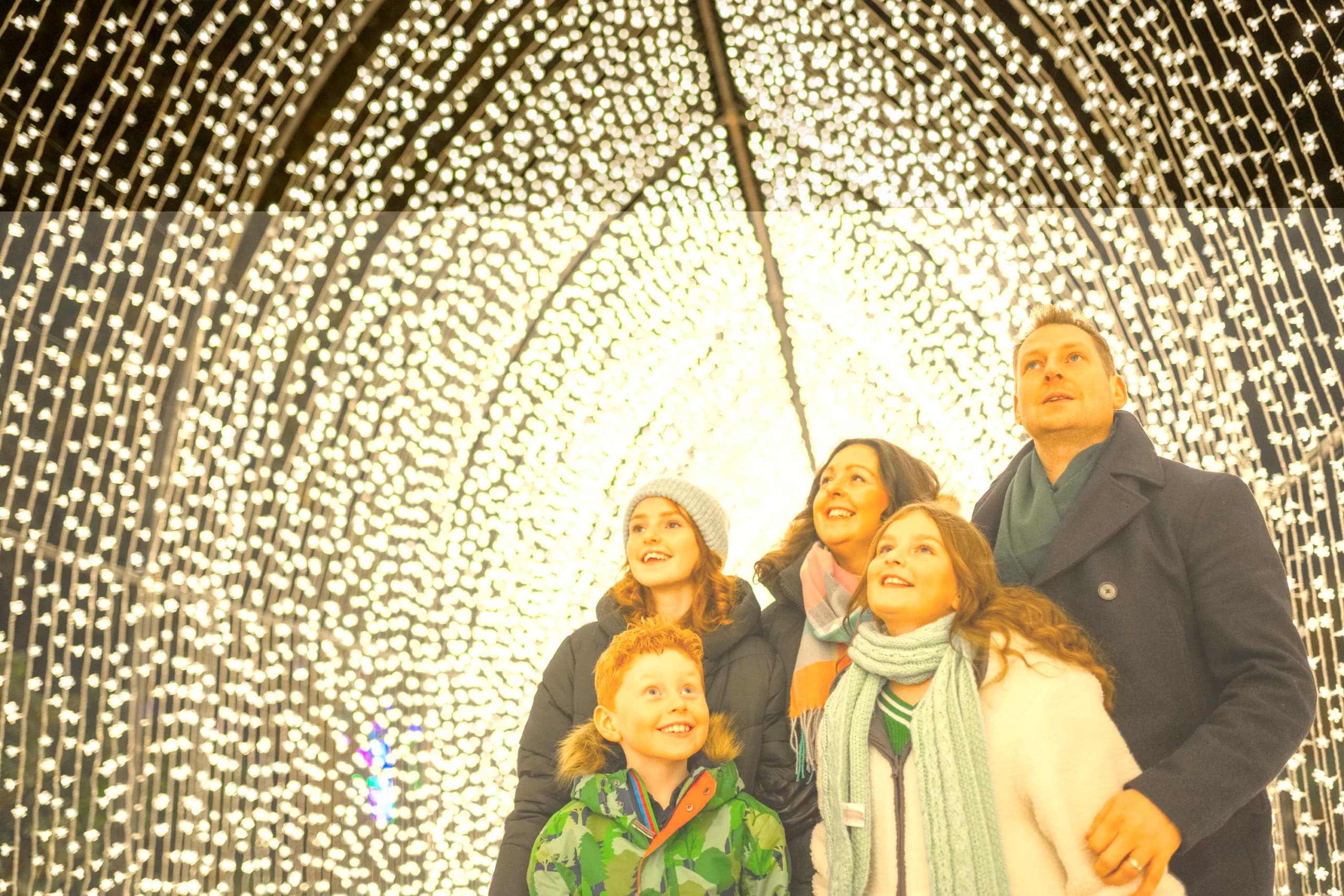 Get Ready for a Dazzling Holiday Season: Christmas at the Botanics 2023 Unveiled