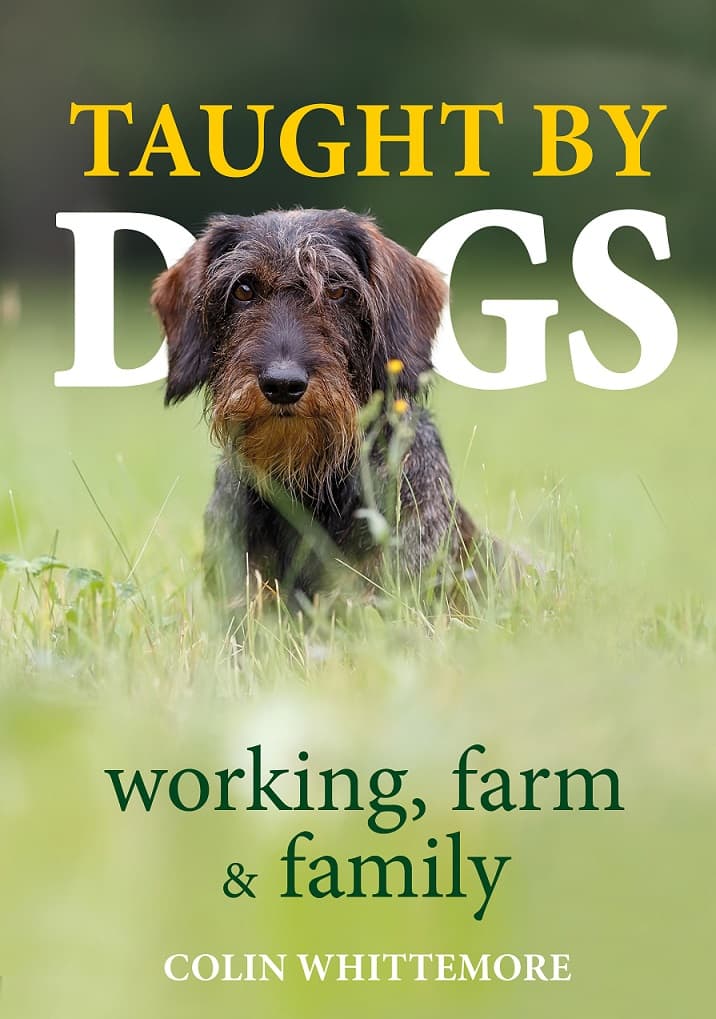 A Farmer’s Son in Edinburgh: Colin Whittemore’s Stories of Working and Family Dogs