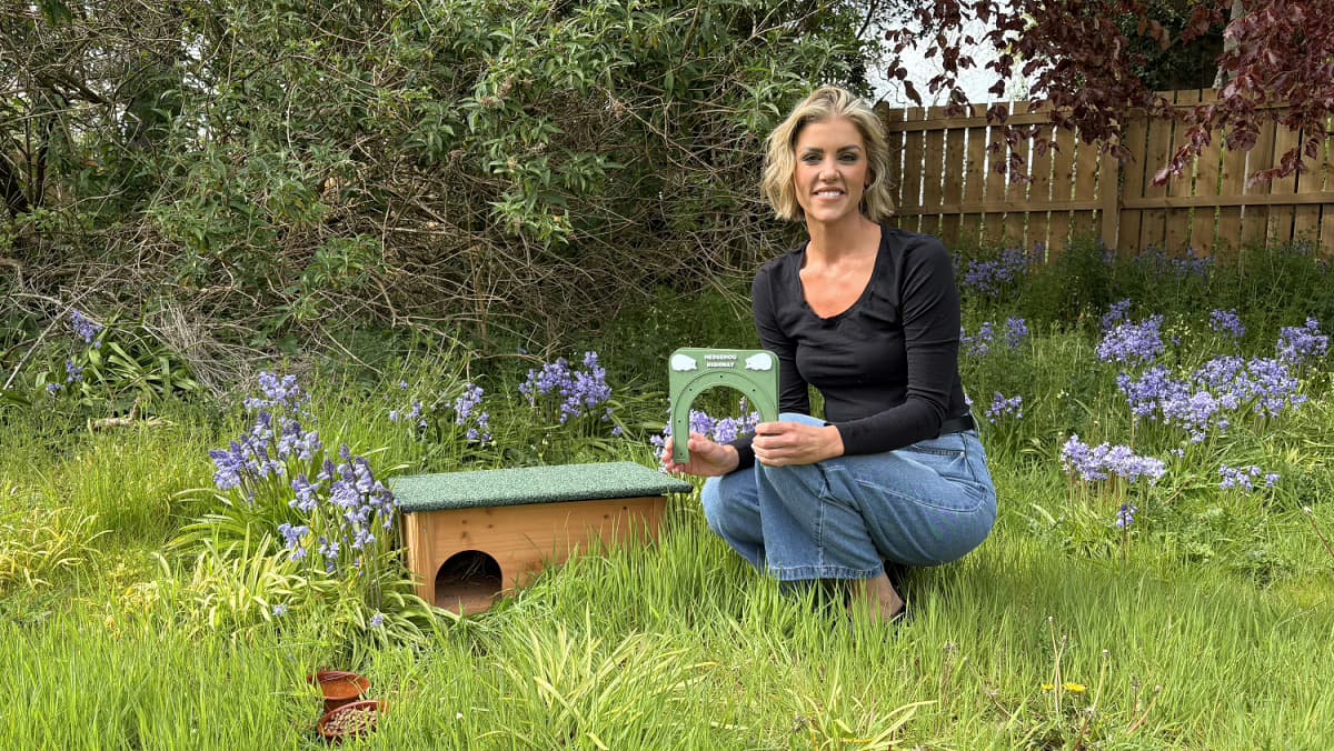 Edinburgh Homeowners Encouraged to Create Hedgehog-Friendly Gardens