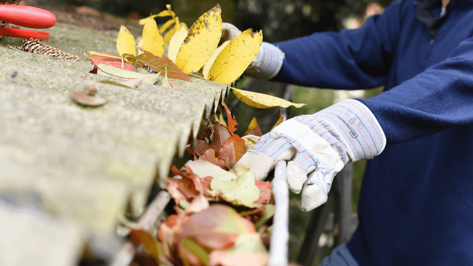 Top Gutter Repair Experts in Edinburgh