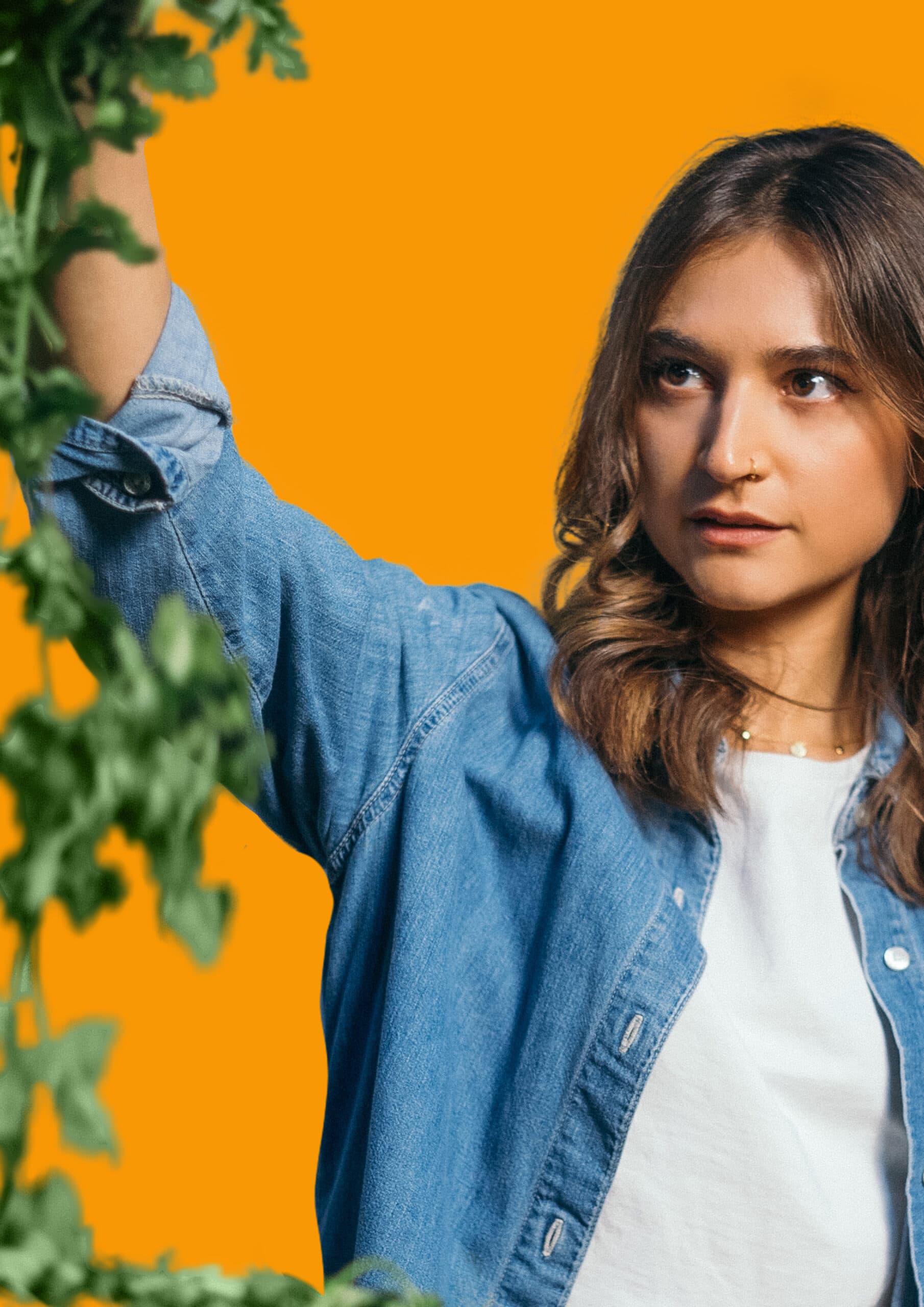Edinburgh Fringe Feast: “My English Persian Kitchen” Will Bring Culinary Theatre to Life