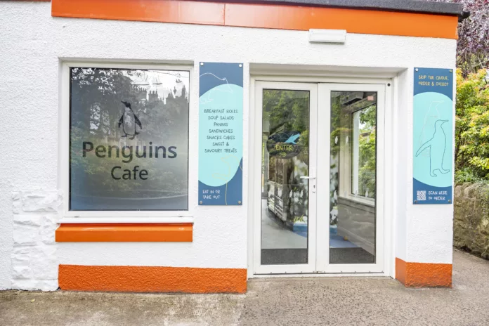 Revitalizing Edinburgh Zoo's Penguins Café: A Space Solutions Success Story